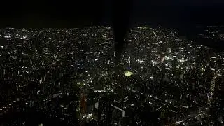 空旅｜大阪伊丹空港に着陸