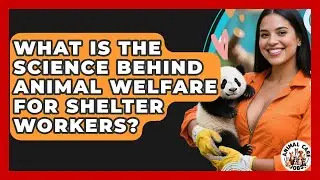 What Is The Science Behind Animal Welfare For Shelter Workers? - Animal Care Jobs