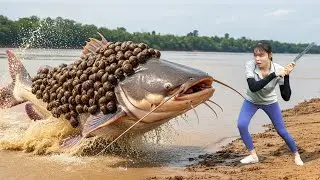 TIMELAPSE &mdash; 366 Days of River Snail Harvesting 🐍 Giant Snake Suddenly Appears in Mud Hunt