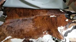 Brazilian Brindle White Belly Cowhide Rug from eCowhides