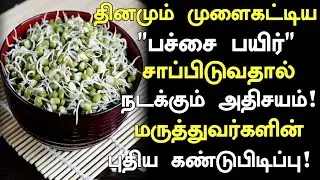 முளை கட்டிய பச்சை பயிறின் புதிய தகவல்கள் ! | Health Benefits of Pachai Payaru in Tamil | Nalam 360