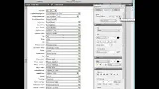 Bug in FileMaker Pro Advanced 12 When Removing Formatting from Fields