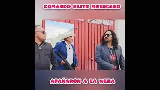 APA&Ntilde;ARON A LA WERA:   COMANDO ELITE MEXICANO