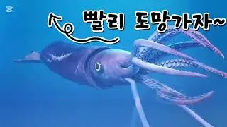 대왕 오징어 필살 탈출기 ^^