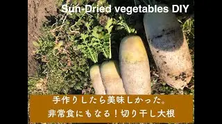 Sun-Dried vegetables DIY 手作りしたら美味しかった。非常食にもなる！切り干し大根の作り方