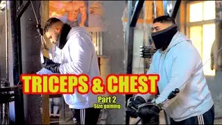 Perfect Chest & Triceps Workout (8 Effective Exercises)