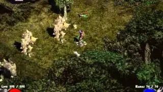 Diablo 2 Myth mod (Sarah Assassin jungle walk).avi