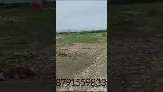 investment plot for sale in Doiwala #dehradun #residentialplot #dreamhome #plotsale #realestate