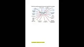 Maritime Accident & Incident Investigation Part 1
