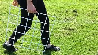 Field investigation transect