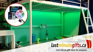 Bluetooth Led Strip Lights 20ft, Smart APP Control Music Sync Color Changing - Unboxing and Install