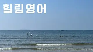 힐링영어#17. Talking to the Traffic School Instructor