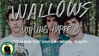 Wallows - Nothing Happens: The Album That Saved My Mental Health | Video Essay