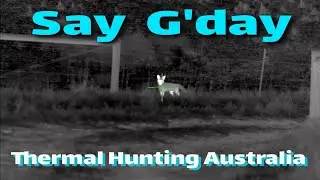Say G'day &bull; Hunting Australia &bull; Getting their attention