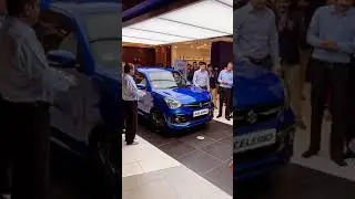 maruti suzuki Celerio blue color 2021