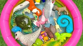playful ocean animals for kids | sea creature toys & fun facts for toddler
