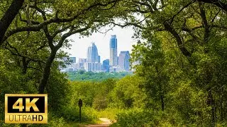 This Hidden Trail is Steps Away from Downtown Austin | Caswell Nature Trail, Austin TX