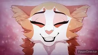 Warrior Cats PMV [Коы Воители] Неделимое
