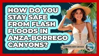 How Do You Stay Safe From Flash Floods In Anza-Borrego Canyons? - Everything About San Diego