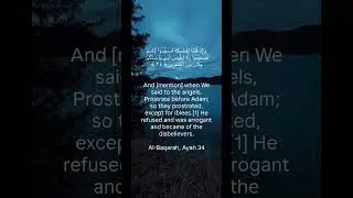 Quran ayah 34 reflection #shortsfeed #quotes #islamicprayer #story #peace #quran #facts