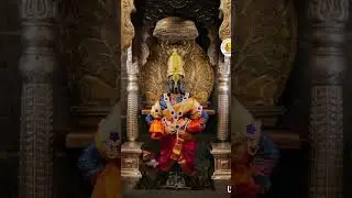 🙏🌹14/1/26 live Shri Vitthal Rukmini Darshan 🙏🌹षटतिला एकादशी निमित्त मकरसंक्रांतीच्या हार्दिकशुभेच्छा