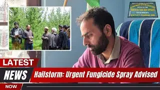 Horticulture Department&rsquo;s Key Advice After Hailstorm Damage in Kashmir