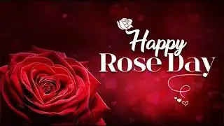 Happy Rose Day 2020: Wishes, messages,Images, greetings,quotes,Facebook & Whatsapp status