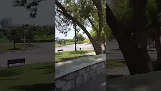 Dubai Creek Park Short 1 #nature #travel #dubai #shorts #short #viralshort #youtubeshorts #trending