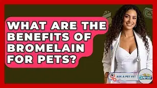 What Are The Benefits Of Bromelain For Pets? - Ask A Pet Vet