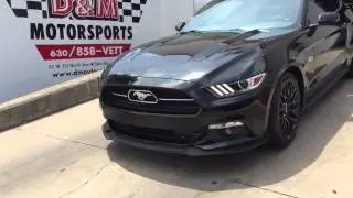 Modesta glass coating | Mustang GT | Chicago Auto Pros