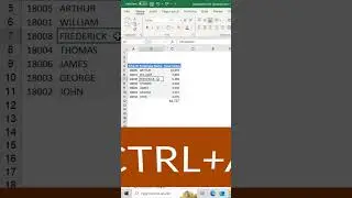 How to Use Bottom Border in Excel Database?
