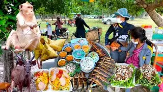 Phnom Tamao Zoo Trip to relax on the weekend