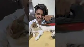 എന്റെ കുണുവാവേ ഇസ്തിരി ഇട്ടു 😂😹 Pucha Sir 😼🔥 #trending #freekvlogs #shorts
