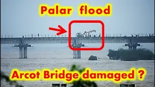 arcot palar | ARCOT PALAR RIVER today | flood in PALAR RIVER | palar river flood | walajabad flood