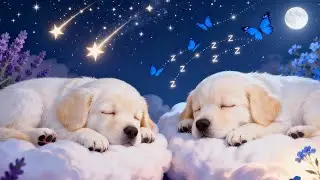 (NO ADS) Relaxing Music to Reduce Stress🌠 Reduce Anxiety, Release Melatonin - Stop Overthinking