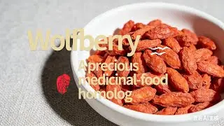 Wolfberry, a precious medicinal-food homolog
