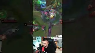 PERDON PERDON CON PERMISO SOY ZED