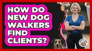 How Do New Dog Walkers Find Clients? - Animal Care Jobs