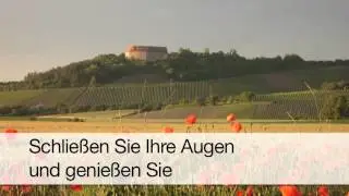 Frankenweine Ipsheim Weingut an der Steige Armin D&uuml;ll