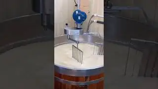 cheese