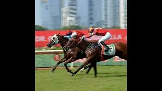 INDIAN DERBY WEEKEND PREVIEW
