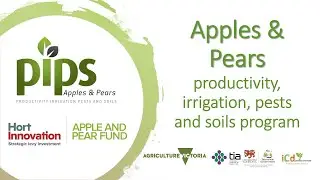 PIPS3  - Advancing sustainable & technology driven apple orchard production systems (AP19003)