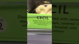 CECIL