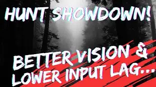Better Vision and Lower Input Lag Guide for Hunt: Showdown!