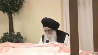 Vidyasar # 10