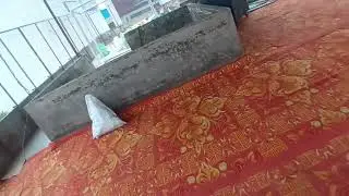 Adarsh turf