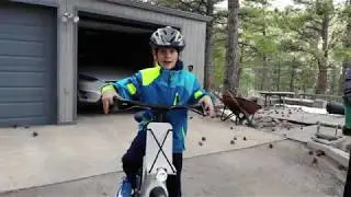 VanMoofing 2 - Electrified X2 in Boulder hills