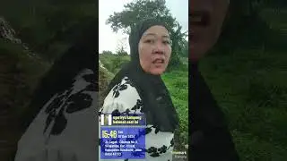 ngerivieu kampung halaman saat iniyg sebentar lagi jadi penyambung tol bocimi