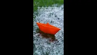 Hidden Forest IRL! 🌧️