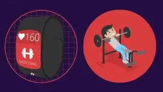 Custom Training: Animation eLearning